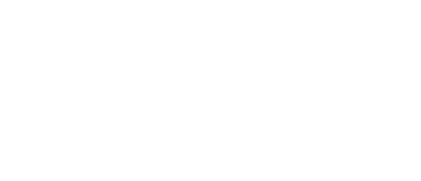 The Palm Aryan Hotels